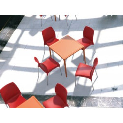 MANGO TABLE